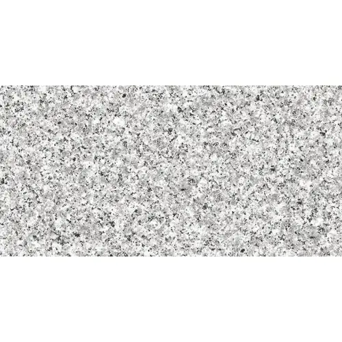 Granit Grey 8638 30x60
